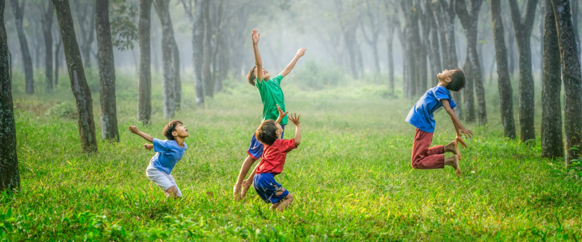 children playing in a wooded meadow