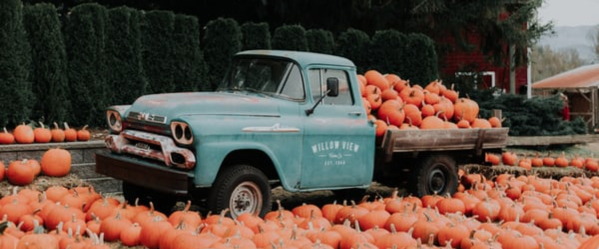 truck full of pumpkins